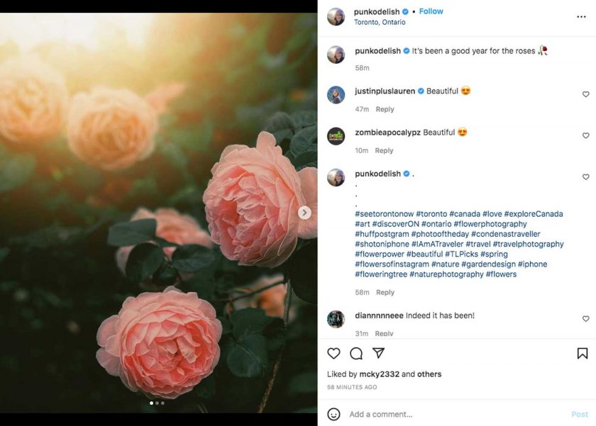 Trending Instagram hashtags for likes & follows