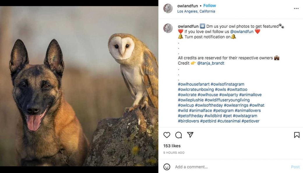 Popular trending Instagram hashtags in 2022