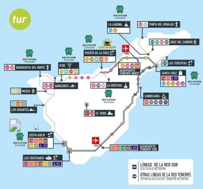 How to get around Tenerife with & without a car | Vegan Adventurist