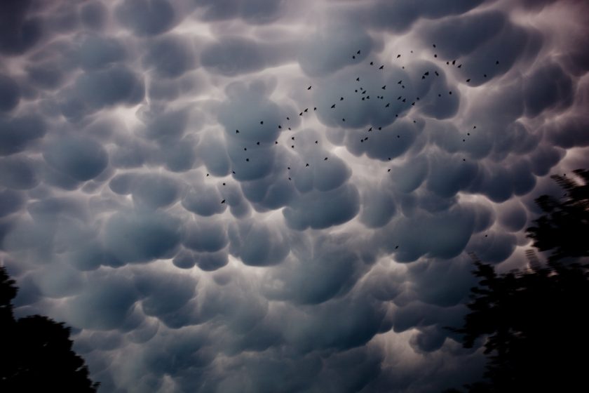 Mammatus clouds are usually found at the base of a anvil cloud, and are a sign of oncoming massive thunderstorms. They also look really cool.