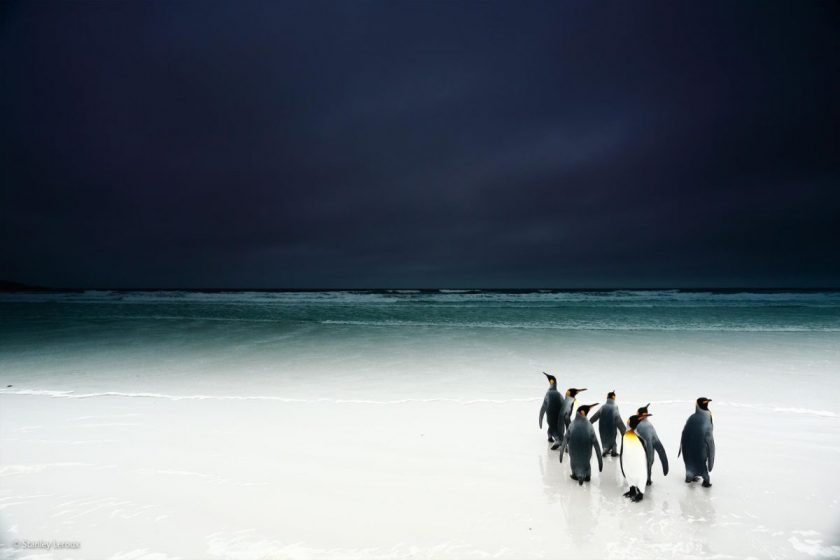 “Kings into the Dark,” by Stanley Leroux, France
