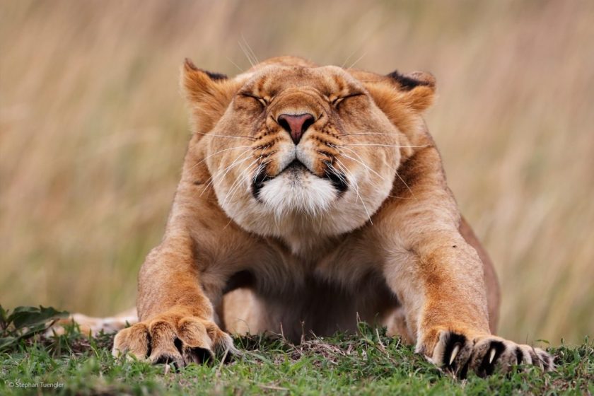 “Stretching,” Stephan Tuengler, Germany