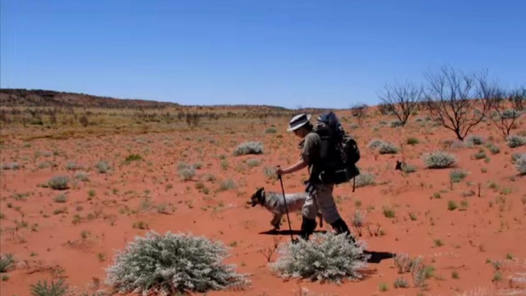 A man walking his dog in the desert, inspired by Sarah Marquis.