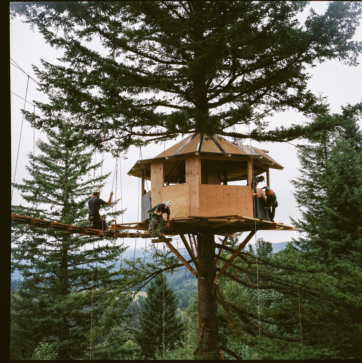 Treehouse under construction