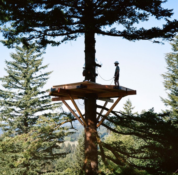 foster-huntington-treehouse-3