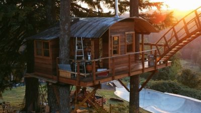 Treehouse with skatebowl