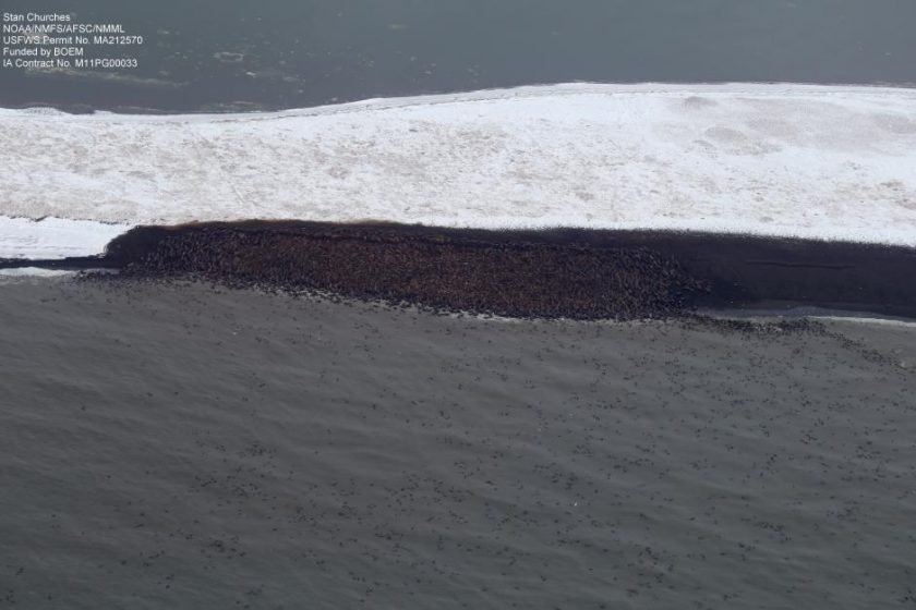 Photo: Stan Churches/NOAA.