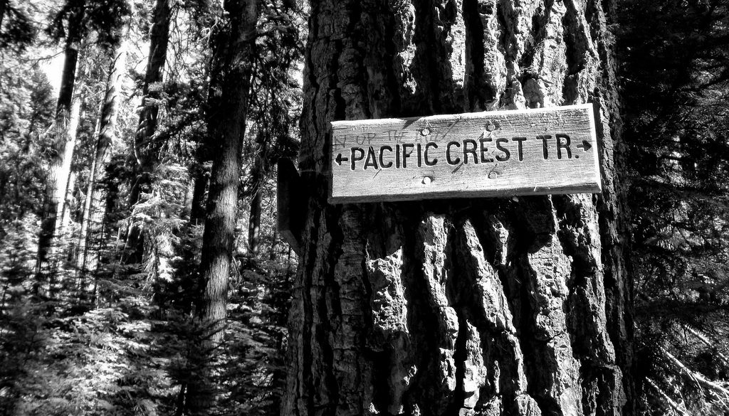 A black and white photo of a sign on a tree along the Pacific Crest Trail.