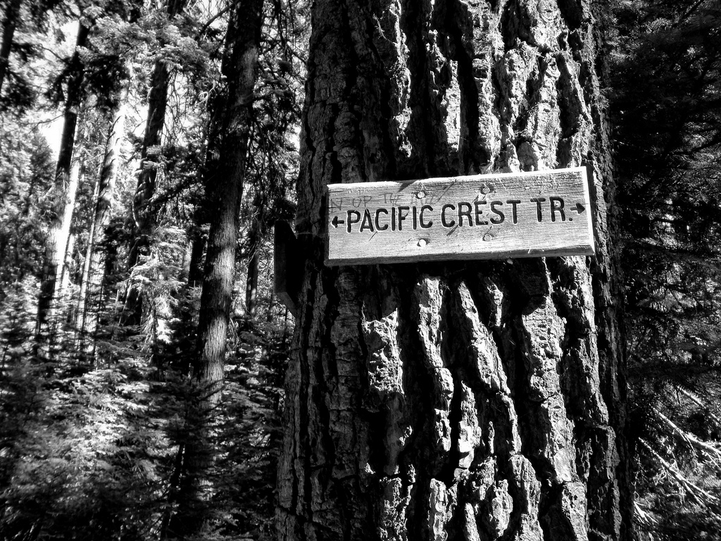 'Angels' of the Pacific Crest Trail