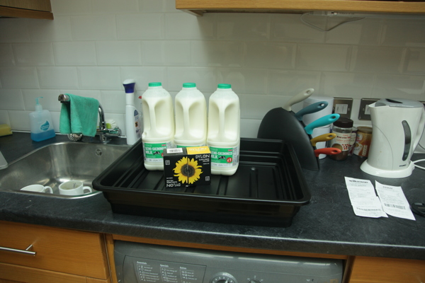 Three pints of milk a gardening tray, sunflower yellow clothes dye and a hair dryer...