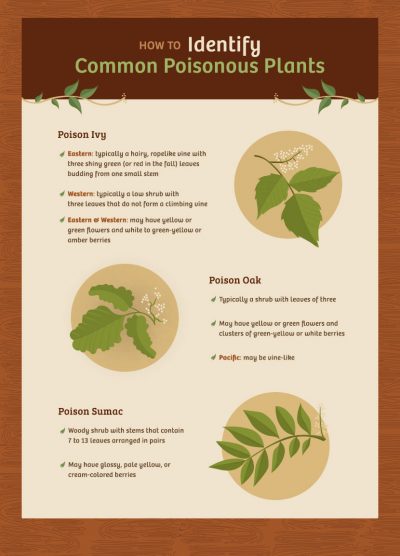 How to Prevent Contact With Poisonous Plants in the Great Outdoors