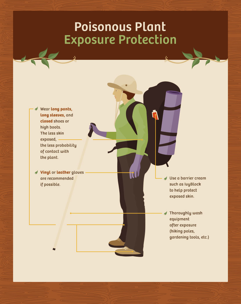 poisonous-plant-exposure-protection-2