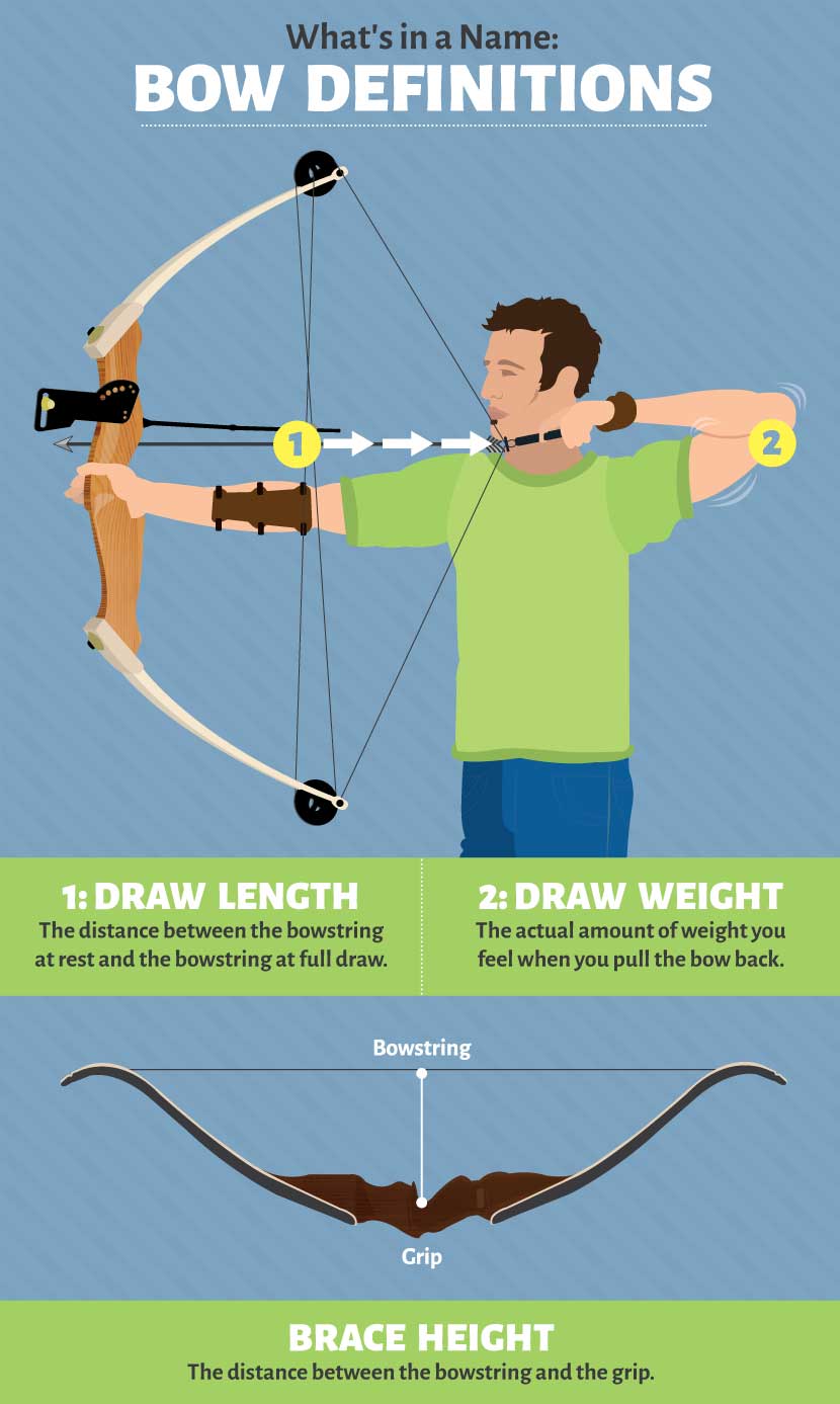 Amazing How To Measure Draw Length On A Bow  Don t miss out 