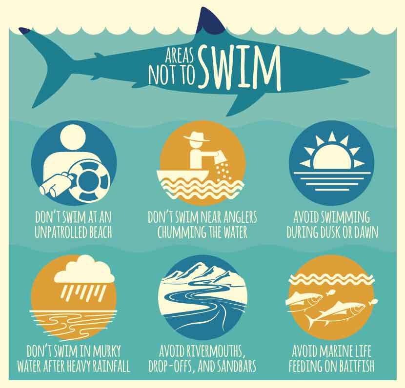 areas-not-to-swim