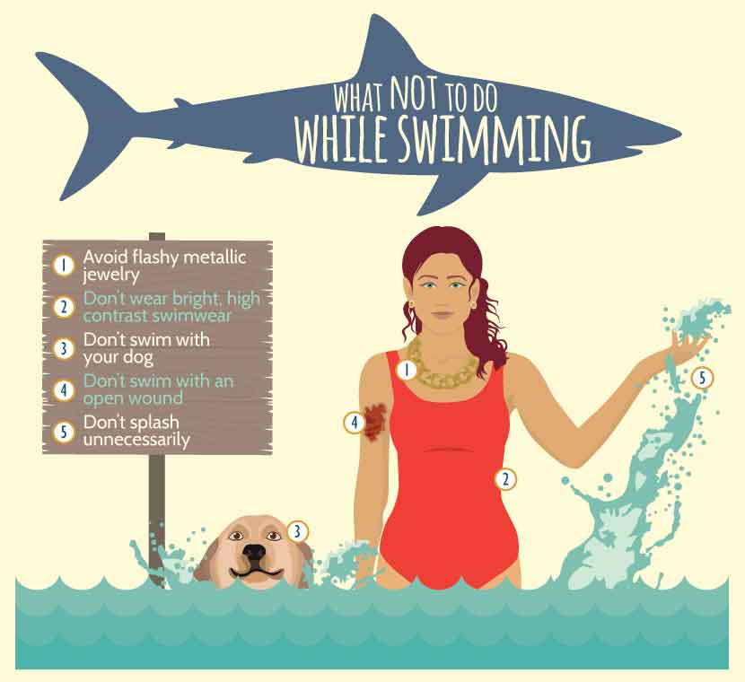 what-not-to-do-while-swimming