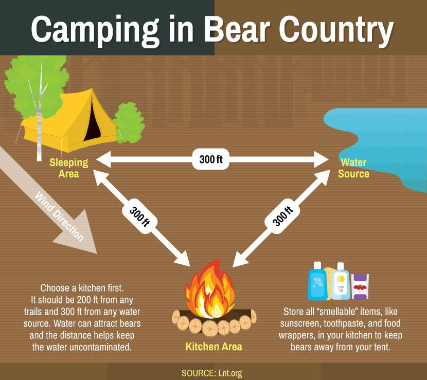 camping-in-bear-country