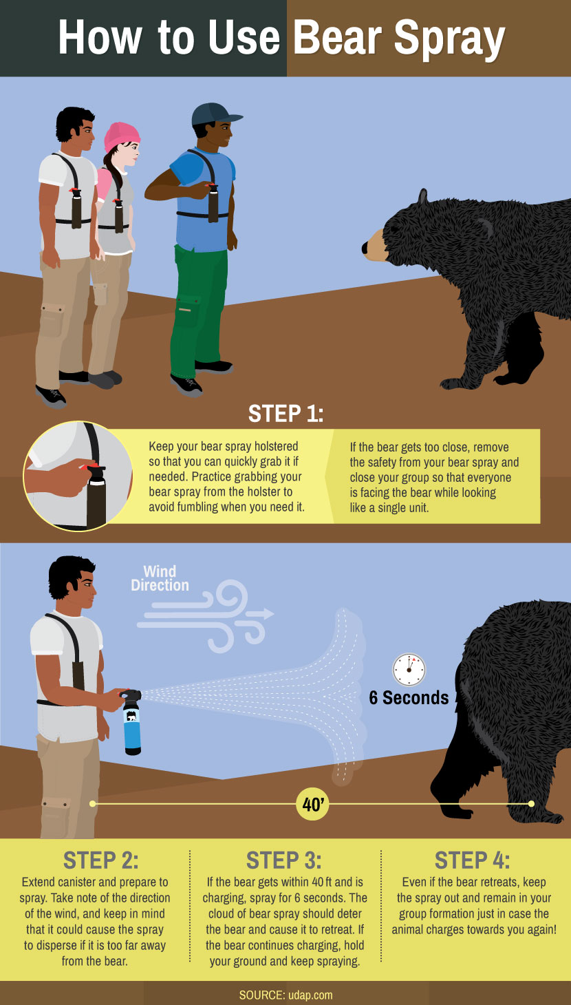 how-to-use-bear-spray