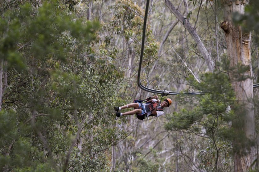 Photo: TreeTop Crazy Rider