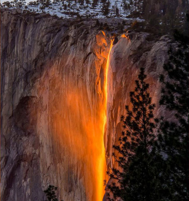 Photograph: Jeffrey Plui/Instagram