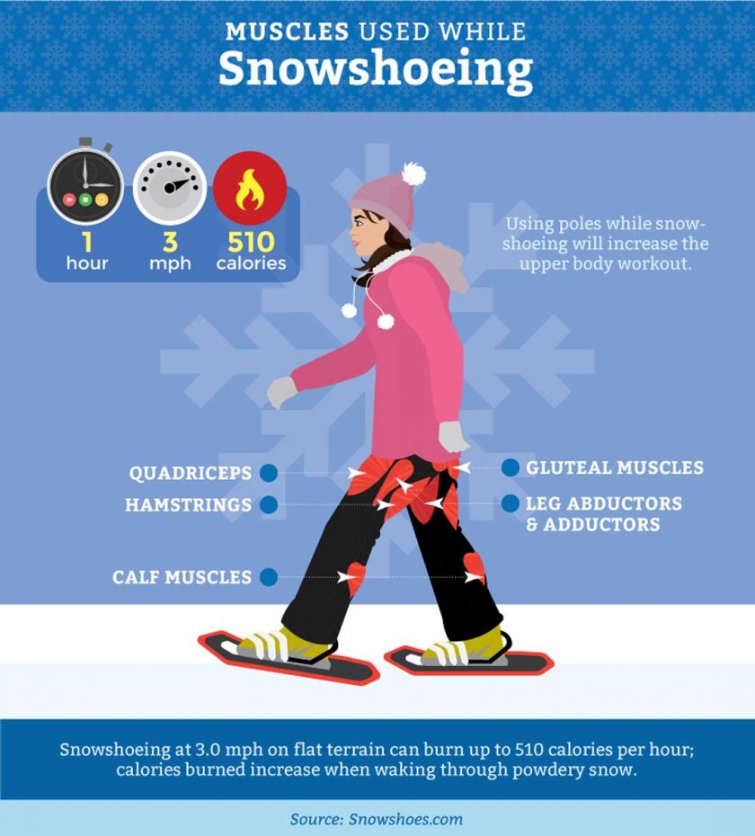 muscles-cross-country-snowshoeing