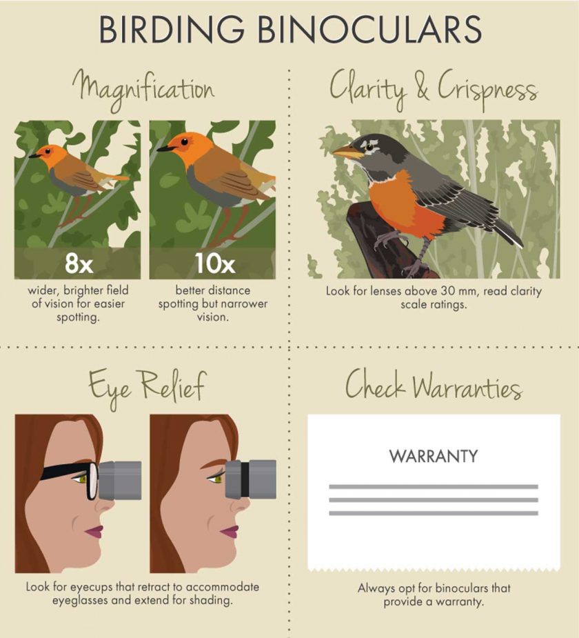 birding-binoculars
