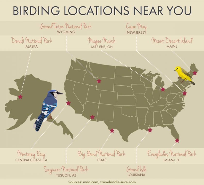 birding-locations-near-you