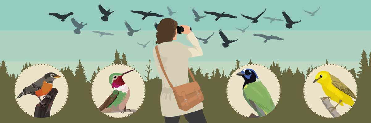 The best places for Winter Bird Watching in the US.