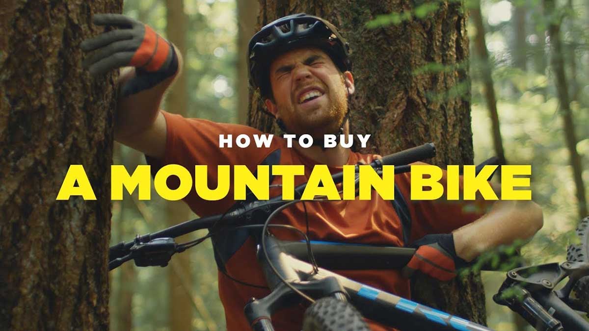 Video: This entertaining ‘buyer's guide’ shows how