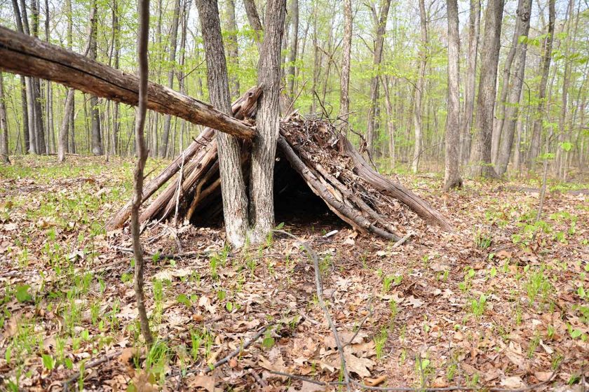 A-frame survival shelter made of sticks in a forest
