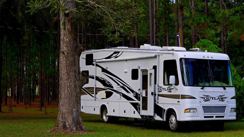 RV parked on grass in woodland area