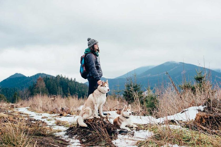 Female hiker with two huskies