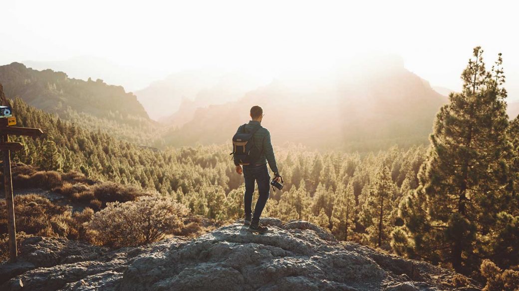 Hiker looking at a forest from a viewpoint while carrying a backpack and camera