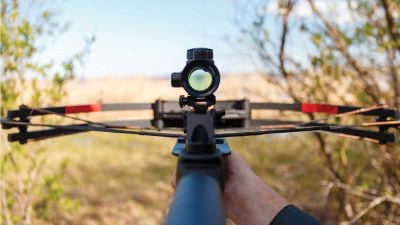 Looking through the sights of a crossbow