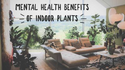 Mental health benefits of indoor plants