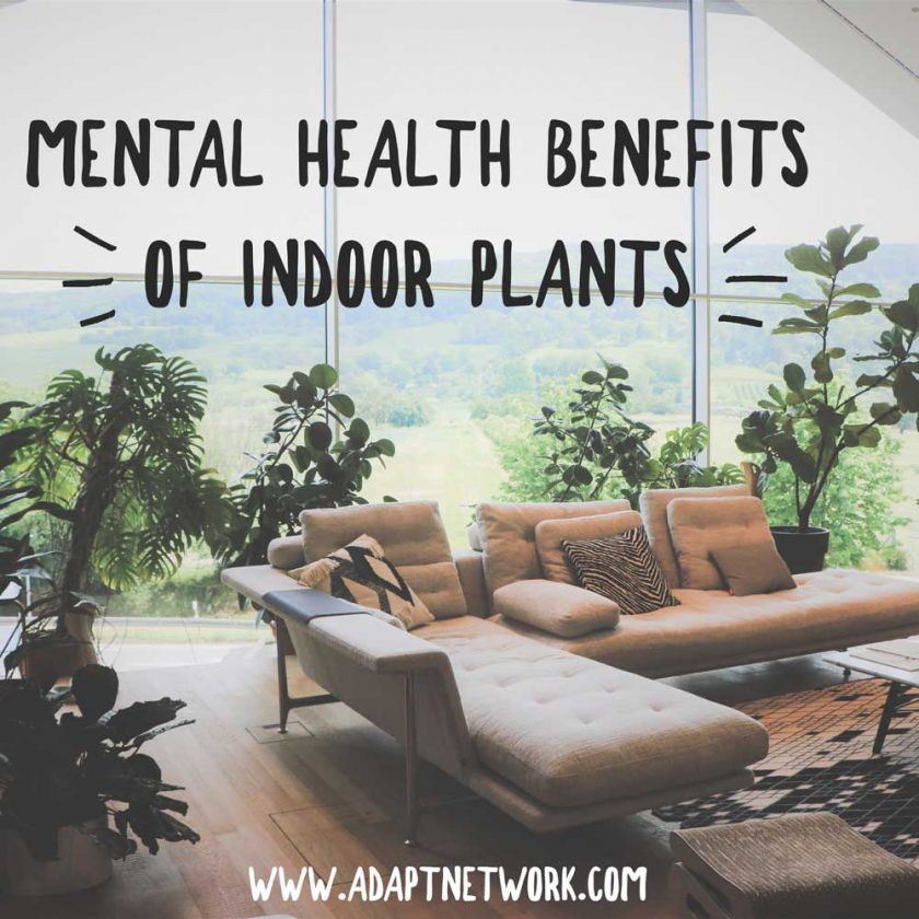 Mental health benefits of indoor plants Pinterest pin