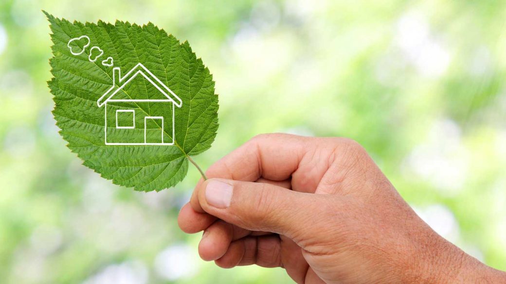 Person holding a leaf with a picture of a house stencilled on it