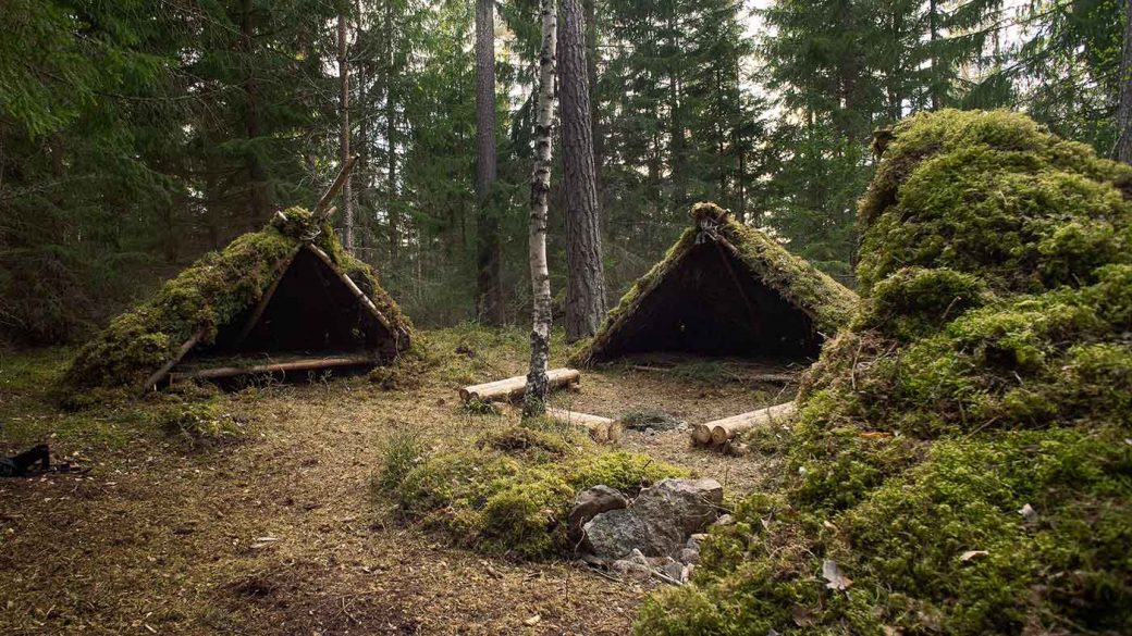 Moss-covered survival shelter in woodland