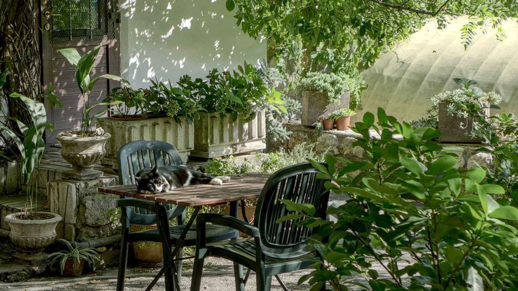 Outdoor living space with a cat napping on a patio table