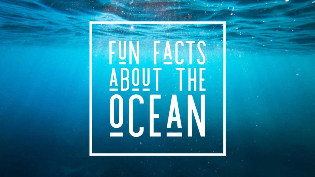 Fun facts about the ocean