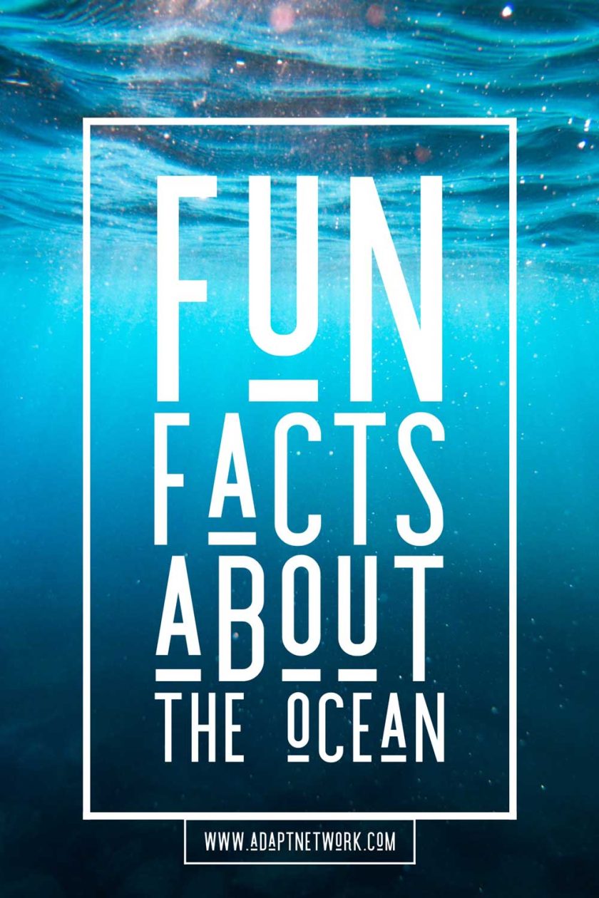 Pin ‘Fun facts about the ocean’ on Pinterest