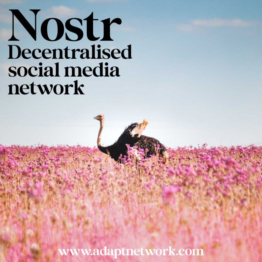 Pin ‘Nostr decentralised social media network’ on Pinterest