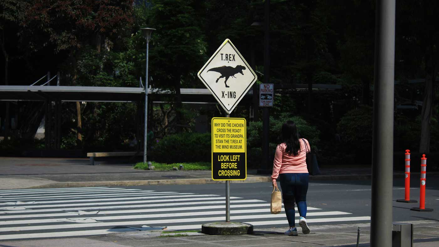 Pedestrian Accidents